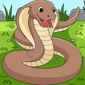 眼镜蛇动物彩色漫画说明背景图片