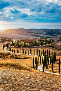 小山 橄榄园和小葡萄园在早晨阳光下 意大利 托斯卡纳 与弯曲的路和柏树 意大利 欧洲的著名托斯卡纳风景农田天空农家乐假期农业农家背景图片