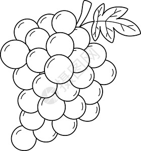 有机葡萄用于孩子的葡萄水果独立彩色页面设计图片