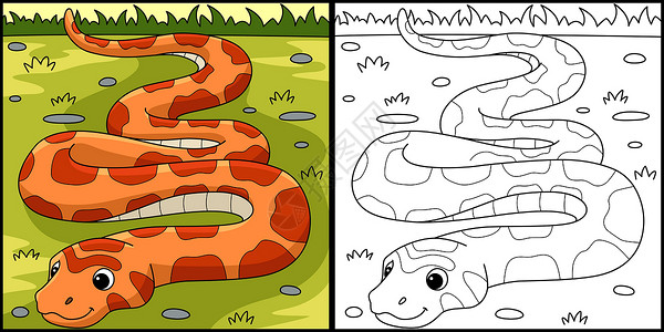 玉米蛇动物的颜色页面插图插画