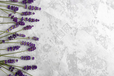 灰石本底的淡紫色花瓶薰衣草疗法花束房子陶瓷植物紫色草本植物芳香背景图片