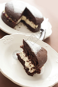 小块蛋糕巧克力蛋糕一块小块 在一块盘子上背景