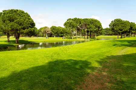环绕着土耳其贝莱克松树的美丽高尔夫球场风景场地运动火鸡高尔夫球蓝色晴天全景绿色球道游戏背景图片