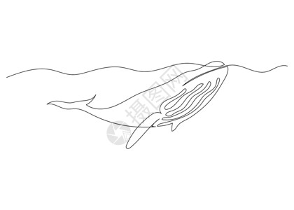 鲸鱼与海洋的连续线绘制 最小化艺术背景图片