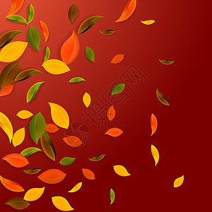 秋天落叶 红 黄 绿 棕C墙纸飞行生态纸屑销售叶子坡度艺术风俗树叶背景图片