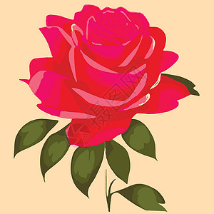 淡粉色玫瑰花蕾装饰花朵的玫瑰花和花蕾 为您设计的鲜花矢量盛放 婚礼请柬的装饰植物花束绘画打印花瓣玫瑰衣服艺术程式化野花设计图片