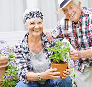 忙疯了一个快乐的老年夫妇在后院忙着种植园艺 我们一直很年轻啊 (笑声)背景
