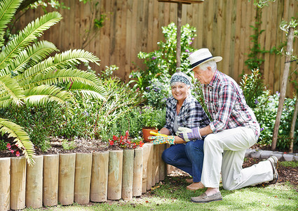 忙疯了园艺是保持青春的最好方法 一个快乐的老年夫妇在后院忙着园艺背景