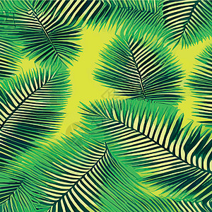 哥伦比亚印刷多彩热带雨林 棕榈叶和其他植物 阿洛哈纺织品收集 茂密的热带森林装饰荒野树木动物插图异国杂草绿色植物灌木丛丛林插画