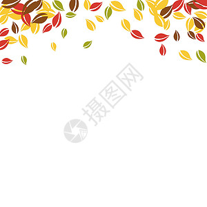 秋天落叶 红 黄 绿 棕C植物群墙纸生物快乐风俗飞行坡度漩涡生态植物背景图片