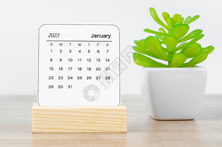1月4号2023年1月2日的月历 2023年 木制桌上装着植物锅背景