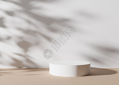 白色圆形讲台 白色背景上有叶子的影子 产品 化妆品展示的天然讲台 小样 美容产品的基座或平台 空旷的场景 3D 渲染背景图片