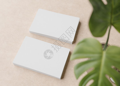 地址标识浅棕色背景上带有龟背竹植物的空白白色名片 品牌标识的自然模型 两张牌显示双方 图形设计师的模板 可用空间 3D 渲染背景