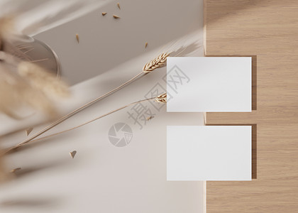地址标识木质表面上的空白白色名片与干植物 模拟品牌标识 两张牌 显示双方 图形设计师的模板 自由空间 复制空间 3D 渲染背景