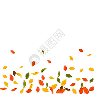 秋天落叶 红 黄 绿 棕C墙纸日落叶子快乐学校植物飞行销售漩涡生物背景图片