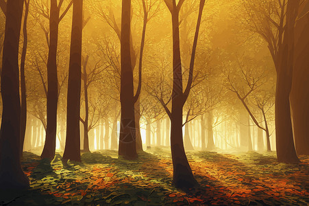 南京仙林夜晚有阳光的魔法秋天森林 金色阳光 日落时橘子树叶 秋天是仙林橙子叶子环境金子爬坡草地旅行季节场景黄色背景