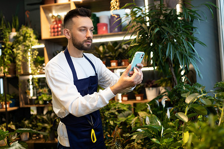 网上花店素材花卉企业家在给买主的电话上拍摄陶植植物的照片 网上销售鲜花和花束的概念;为购买者提供背景