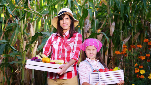 微笑的农民家庭的肖像 母亲和女儿拿着装有不同新鲜蔬菜的木箱 在农场收获 阳光明媚的夏日 麦田背景围裙生长园丁收成花园食物采摘农业帽子高清图片素材