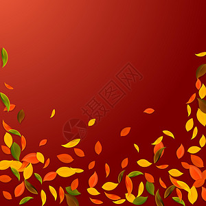 秋天落叶 红 黄 绿 棕C生态飞行漩涡叶子销售纸屑树叶墙纸植物群生物背景图片