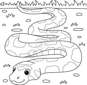 儿童玉米蛇动物彩色页面插画
