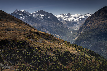 苏氏月饼瑞士格劳本登州恩加迪内上层的苏氏体阿尔卑斯山地貌森林人行道冰川全景乡村小路林地目的地旅游山路背景