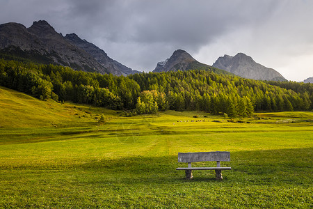 苏氏月饼瑞士格劳本登州恩加迪内上层的苏氏体阿尔卑斯山地貌自然长椅座位冰川晴天森林天空草地目的地孤独背景