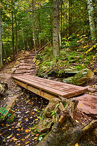 以木板桥为焦点的秋季森林远足轨迹侧视图背景图片
