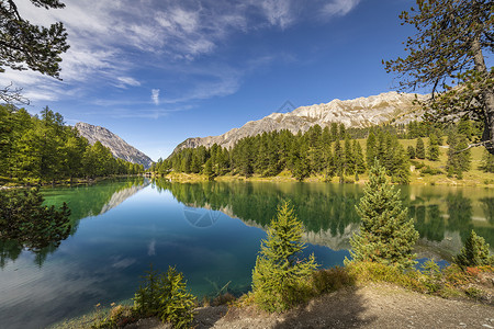 松树透明素材瑞士格里森斯山口Albula山的Alpula湖湖天堂远足松树风景文化水面目的地爬坡晴天反射背景
