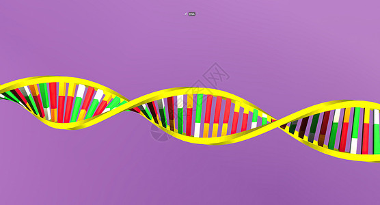 血红蛋白素是一种复杂的DNA和蛋白质 存在于衣原体细胞中液泡骨架区域粒粒核膜植物微生物学细胞壁细胞质细胞背景