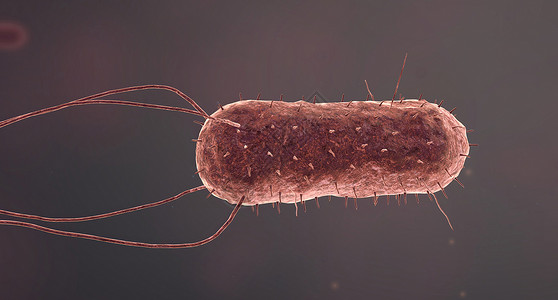 原核生物细菌是小型的单细胞生物疾病鞭毛球形分裂细菌学大肠杆菌牙关细胞壁梅毒质粒背景