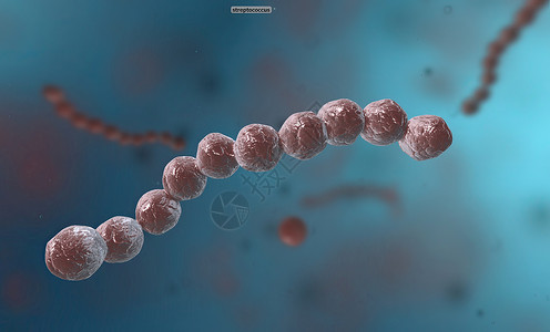 蛋白细胞Spirillum是一种来自蛋白细菌植物的细菌 具有螺旋形细胞形态鞭毛发烧感染微生物学瘟疫生物牙关大肠杆菌淋病细胞壁背景