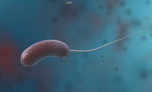原核生物维布里奥是一种细菌 由弯曲杆形的克阴性细菌组成疾病发烧伤口杆状感染螺旋形寄生虫瘟疫淋病质粒背景