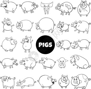 彩猪卡通猪养猪场动物人物大套彩色页面插画