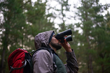 别让鸟儿帅哥用双筒望远镜扫描周围的森林 让鸟儿活到现在 他们正在寻找那只特殊的鸟背景