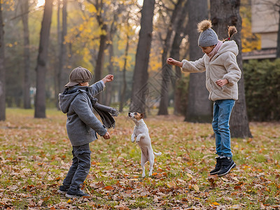高加索儿童在秋天公园与杰克鲁塞尔泰瑞尔一起行走 男孩 女孩和狗正在户外跳跃童年叶子树木快乐家庭动物男生孩子公园闲暇犬类高清图片素材