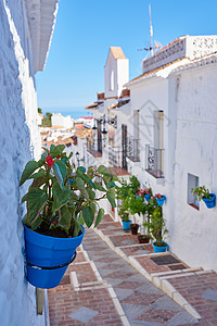 内尔米哈斯  西班牙安达卢西亚古城 美丽的山城米哈斯 西班牙安达卢西亚街道爬坡酒店旅游植物文化假期房子鹅卵石脚步背景