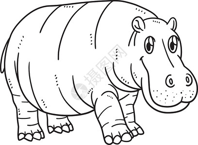 母亲希波(Hippo)儿童孤立的彩色页面背景图片