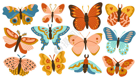 帝王蝶具有抽象装饰现代设计的蝴蝶和飞蛾系列 在白色上隔离的矢量插画