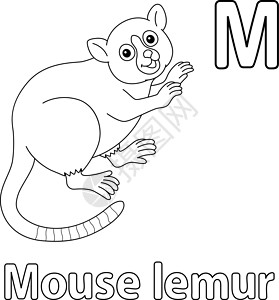 鼠标 Lemur 字母字母 ABC 孤立颜色页面 M背景图片