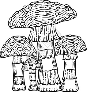 成人蘑菇春彩色页面背景图片