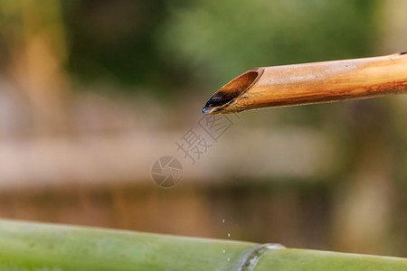 最后一滴水从日本神庙的竹竹管上掉下来背景图片