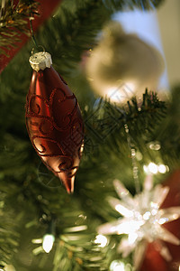 圣诞树装饰品物体金子红色庆祝活动习俗季节背景图片