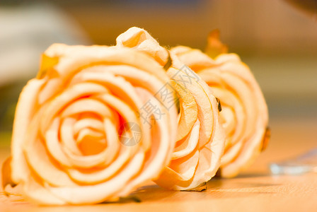 玫瑰香味宏观花瓣橙子植物花店背景图片