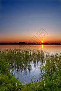 湖边的草在湖边的黄昏反射鸟类银行飞行日历杂草日落池塘天空季节背景