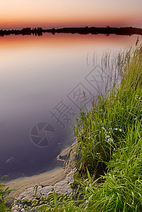 湖边的草在湖边的黄昏季节性季节池塘日落紫色反射天空绿色植物红色明信片背景