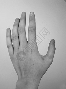 手掌拇指黑与白一部分线条女士女孩手指指甲身体指头背景图片