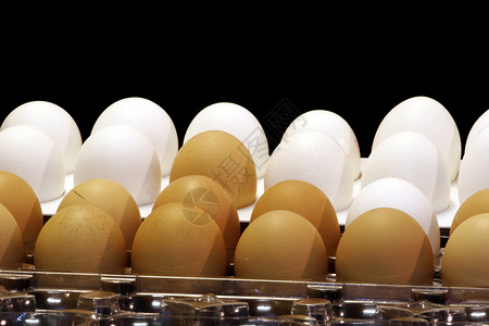 蛋托盘黑色白色食物命令背景图片