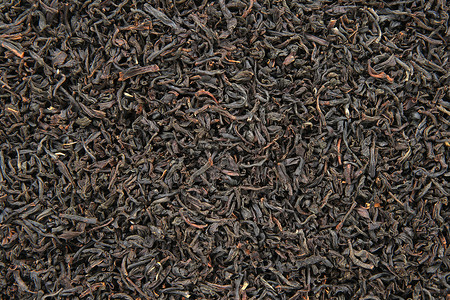 斯里兰卡茶叶健康草本植物高清图片