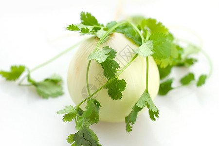 洋葱豆子绿色蔬菜淡绿色草药树叶食物香料香菜背景图片