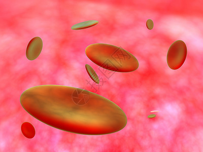 血红蛋白细胞背景图片